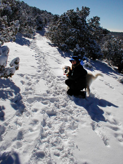 Snow path