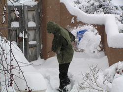 Shoveling!